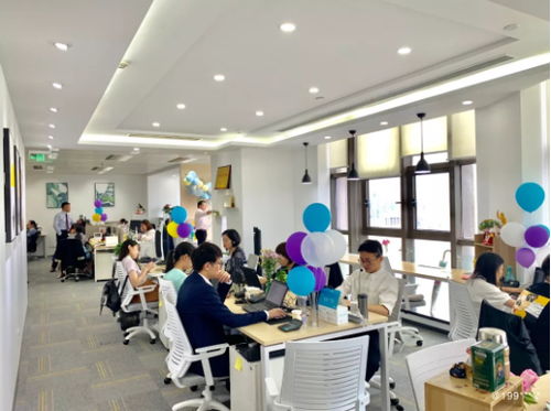 上海择仕企业管理...招聘java高级开发工程师 看准网